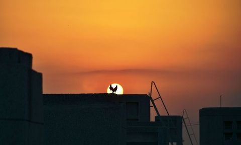 Beautiful Sunset  Geotagged,India