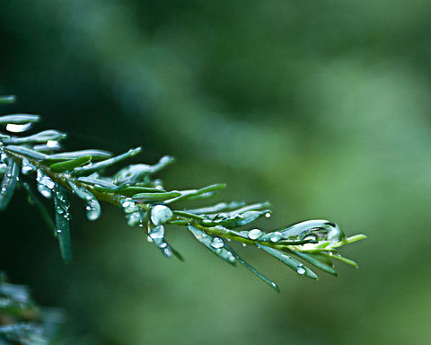 Raindrop 3  Geotagged,United States