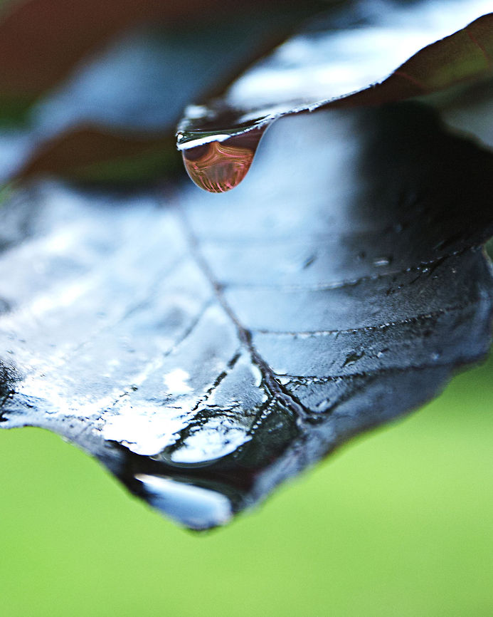 Raindrop 2  Geotagged,Raindrops,United States