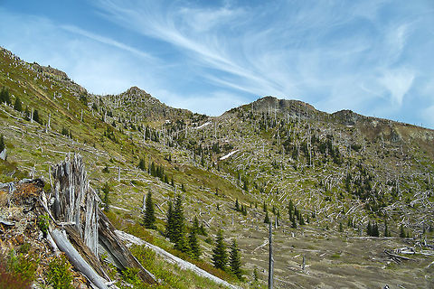 34 years of recovery Inside the blast zone at Mt. Saint Helens National Volcanic Monument Geotagged,Mount Saint Helens,Mt. Saint Helens,United States,blast zone,volcano