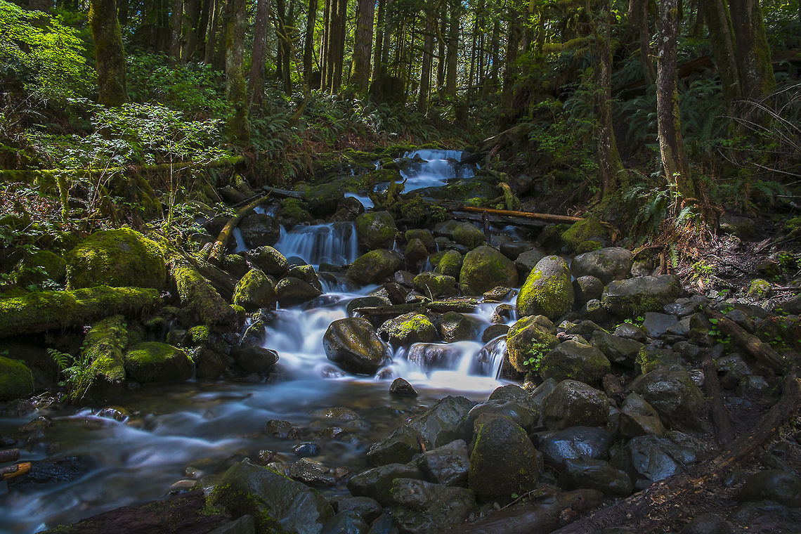 Wallace Falls State Park Small falls at Wallace Falls State Park, Washington USA Geotagged,United States,long exposure,neutral density,waterfall