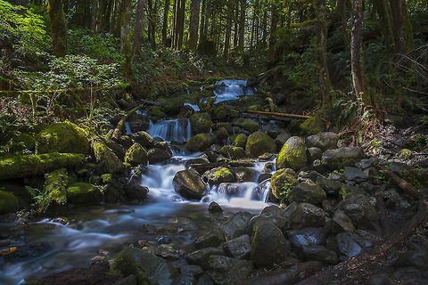 Wallace Falls State Park Small falls at Wallace Falls State Park, Washington USA Geotagged,United States,long exposure,neutral density,waterfall