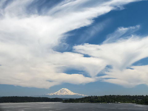 Weather phenomenon - cloud fall streaks Fall streaks or virga are cloud precipitation that does not reach the ground. The streaks can be raindrops, snowflakes or even halo forming ice crystals. 
It happened to be a very hot, very clear day here in Seattle, on the ground, but still very cold in the upper atmosphere. What resulted was this great show of amazing clouds with exquisitely clear air. Geotagged,United States,atmospherics,clouds,weather