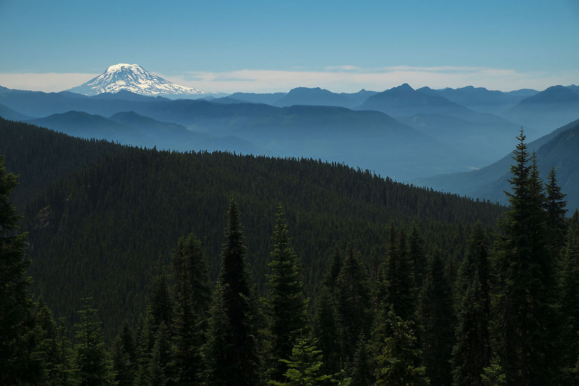 Serene Adams Mt. Adams as seen from the Wonderland Trail in Mt. Rainier National Park.  Geotagged,Mountains,United States