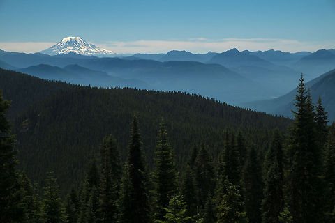 Serene Adams Mt. Adams as seen from the Wonderland Trail in Mt. Rainier National Park.  Geotagged,Mountains,United States