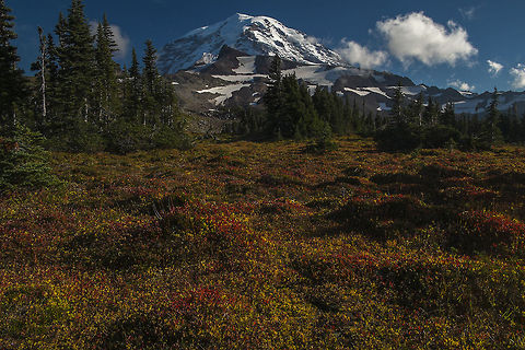 Spray Park, Mt. Rainier What an absolutely gorgeous fall day to be hiking around Mt. Rainier. It's late here now, so I don't have time to edit and research the other photos I took today, but I wanted to share at least one before I go to be. More funky fugi, cute critters and BEARS! to follow. (yes indeed - we saw bears, a mamma and her two cubs, in the wild today) Geotagged,United States