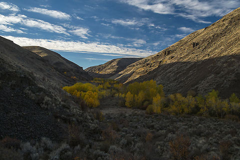 Color in the desert Where there is water there are trees. I think they were mostly aspens and birches. We haven't hiked much on the east side of the state, where it is very dry, but we chose this hike today because it's finally cool enough and the days are short enough that the rattlesnakes should have all gone into hibernation :p.  Geotagged,United States