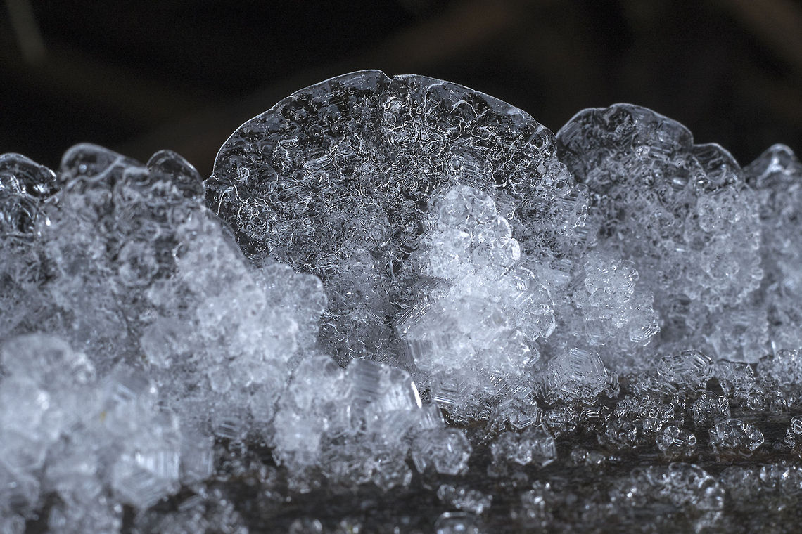 Ice Flowers We&#039;ve had a little unseasonable cold weather here the last week or so - but at least it&#039;s brought a few cool things, like these ice flowers I found on a log this morning. Geotagged,United States