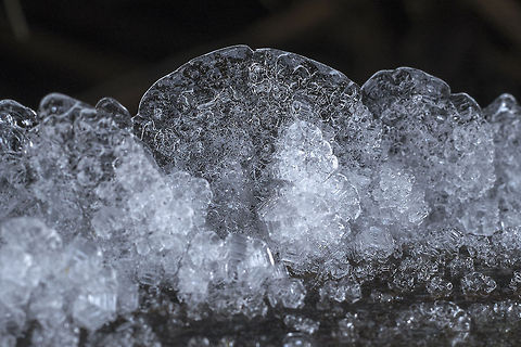 Ice Flowers We've had a little unseasonable cold weather here the last week or so - but at least it's brought a few cool things, like these ice flowers I found on a log this morning. Geotagged,United States