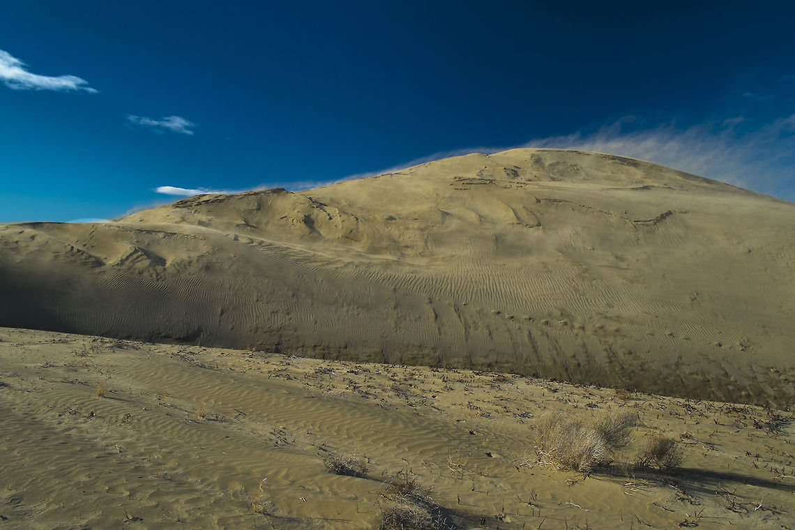 The power of the sun When the last of the clouds disappeared and the sun was at it's full affect the wind whipped up amazingly - until it started getting into everything (including my pockets and ears&hellip;) it was great fun watching the sand whip up and away over the top of the dune. Geotagged,United States,Winter