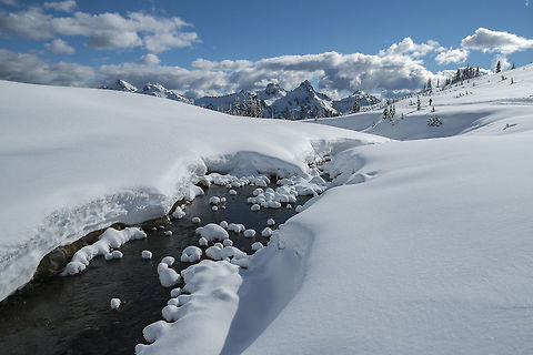Yeah - snow! It's been so strangely warm here that until just a few days ago the freezing level was up at 10,000 feet! It finally fell and along with it, some fresh snow at Paradise on Mt. Rainier. Time for a little snowshoeing. One really nice thing is that with snow on the ground you can go wherever you like, unlike summer time when you have to stay on the trails to protect the meadows. Geotagged,United States,Winter
