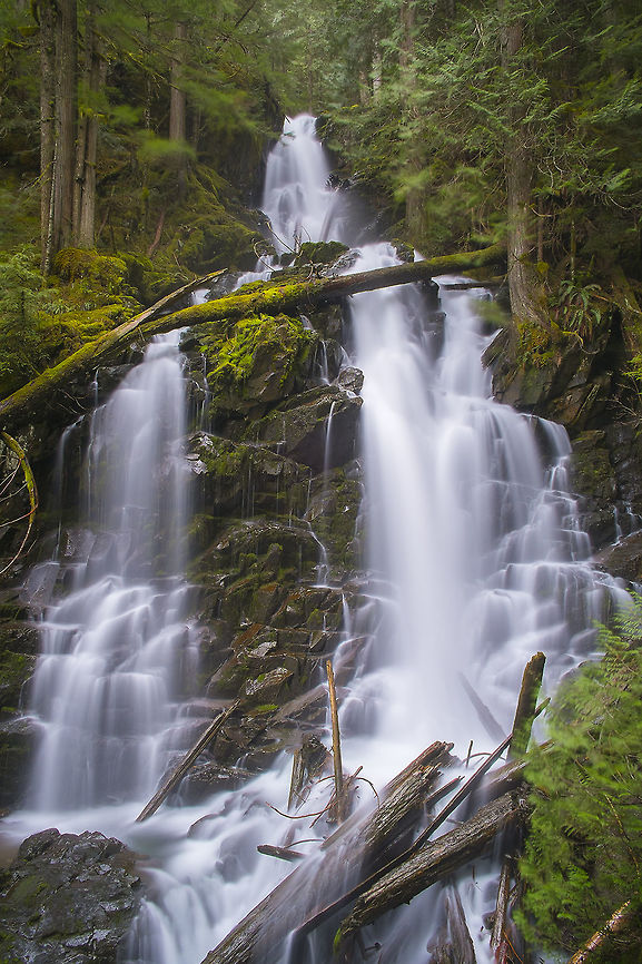 Ranger Falls And last but not least - here's a sample of the area where I found the last 8 of my photos. Ranger Falls is one of the more accessible of Washington's many, many waterfalls - indeed that is how the "Cascade" mountain range got it's name, from the multitude of creeks and falls that trickle down the hills and gullies. Conifers, Ferns and mosses dominate here - a very green place. Ranger Falls sits below Green Lake in the Mount Rainier National Park. The road into the area has been closed for some time due to fairly consistent washouts caused by the Carbon River. While no longer maintained for cars, it's still hikeable and bikeable, but that means that the area gets far fewer visitors than areas of the park that are easily driven into. Geotagged,Spring,United States