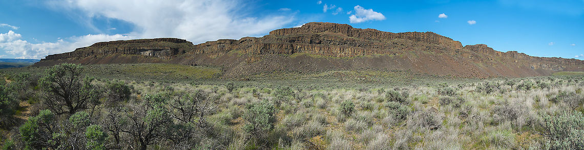 Dusty Lake Basin Panorama This landscape just cries out for panoramas - it's so wide and open. This is the environment that my last set of photos were all taken in. It's shrub steppe. Quite dry, but not desert. Very hot in the summer, cold in winter. It can only support trees where there is a year round water source - a spring or pond. Most of the more visible vegetation is comprised of grasses and sage brush, but in the spring when there is a bit more water, many types of flowers can be found. Beetles and spiders are common and birds can be found where water is available.<br />
<br />
lots more scenery on my flickr account - <a href="https://flic.kr/ps/MMu5N" rel="nofollow">https://flic.kr/ps/MMu5N</a> Geotagged,Spring,United States
