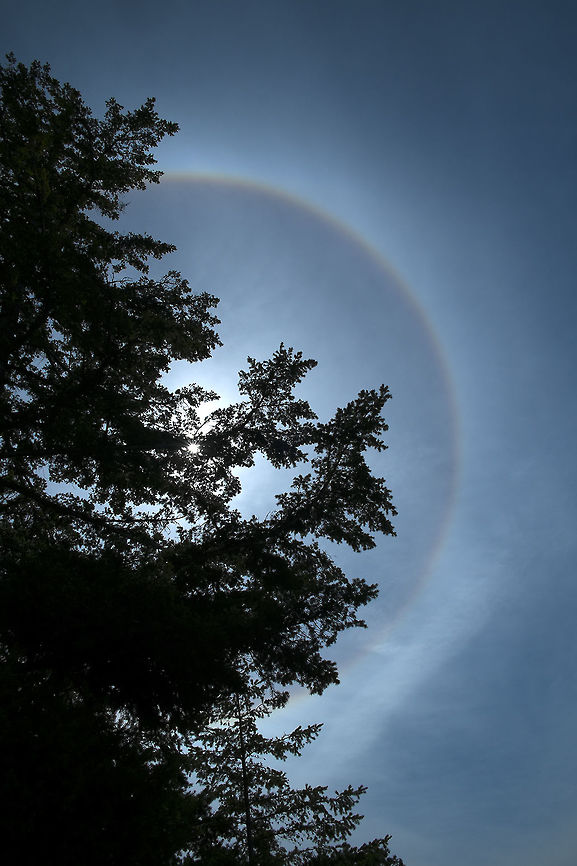 22&deg; halo I've never seen one of these quite so big looking! These rings are caused by ice crystals in the upper atmosphere.  Geotagged,Natural events,Spring,United States