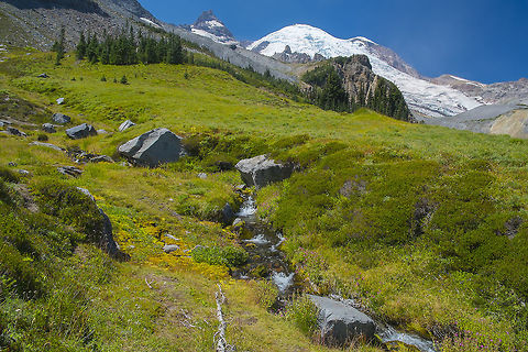 Summerland Even with the wildflowers done early, Summerland is still an incredible spot Geotagged,Summer,United States