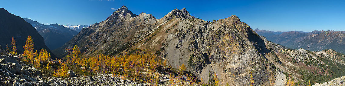 Easy Pass Panorama Nothing quite like a pano to show off the mountains around here (and it&#039;s so easy to image stitch these days). I suppose most people think California or Colorado for this type of vista, but Washington has some really amazing alpine terrain. This area hasn&#039;t earned the nickname &quot;The American Alps&quot; for nothing. It&#039;s an amazingly wild area too. It&#039;s so rugged and remote that most of the area was not logged early in the century in favor of areas that were easier to access. It was also protected quite early - parts were set aside and protected as early as 1897. Pretty much only one paved road runs through the park and there are vast areas that remain totally roadless. Today 93% of the actual national park and a lot of the adjacent land is set aside as Wilderness Area, which means that no additional &quot;improvements&quot; - roads, buildings and the like can be made. <br />
This particular hike is not only breathtakingly scenic, remote and difficult enough to not be a mob scene on weekends, but also of geological interest. The pass that the trail runs up is partly  inside of a fault line. There are some places that a small off trail detour to the cliff walls can show you grooves where the two different types of rock on either side of the fault rubbed together. <br />
This view is from a point up a bit from the pass and just shy of about 7,000 feet  Fall,Geotagged,Larix lyallii,Subalpine larch,United States
