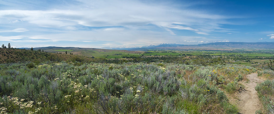 High desert in bloom In a month or so this will all be dry and mostly brown, with a little dusty green from the sage, dusty and dry, but for a month or two in the spring it&#039;s a wonderland of blooming flowers.  Geotagged,Spring,United States