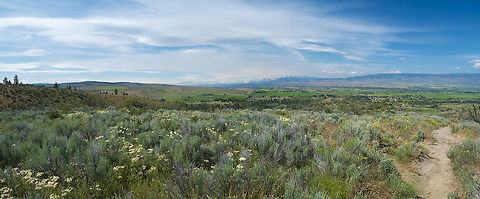 High desert in bloom In a month or so this will all be dry and mostly brown, with a little dusty green from the sage, dusty and dry, but for a month or two in the spring it's a wonderland of blooming flowers.  Geotagged,Spring,United States
