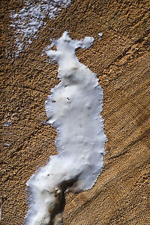 Very smooth waxy crust many, many of these described, but not photographed in my mushroom ID program..  Geotagged,Summer,United States