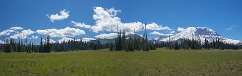 Grand Park at Mount Rainier  Geotagged,Summer,United States
