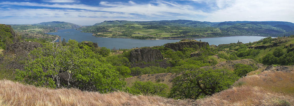 Above the Columbia River, looking towards Oregon This provides a bit of context for the last set of photos - this is a different sort of area than all of my previous hikes. It is drier than the east side of the mountains, but not so dry as to be sage steppe. It&#039;s mostly grassland with pockets of oak forest.  Geotagged,Spring,United States