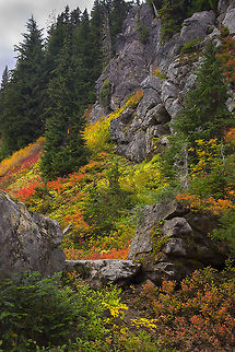 Amazing colors of autumn  Fall,Geotagged,United States