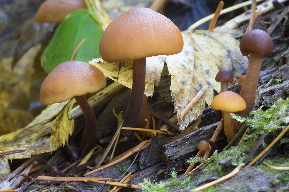 LBM group  Fall,Geotagged,United States