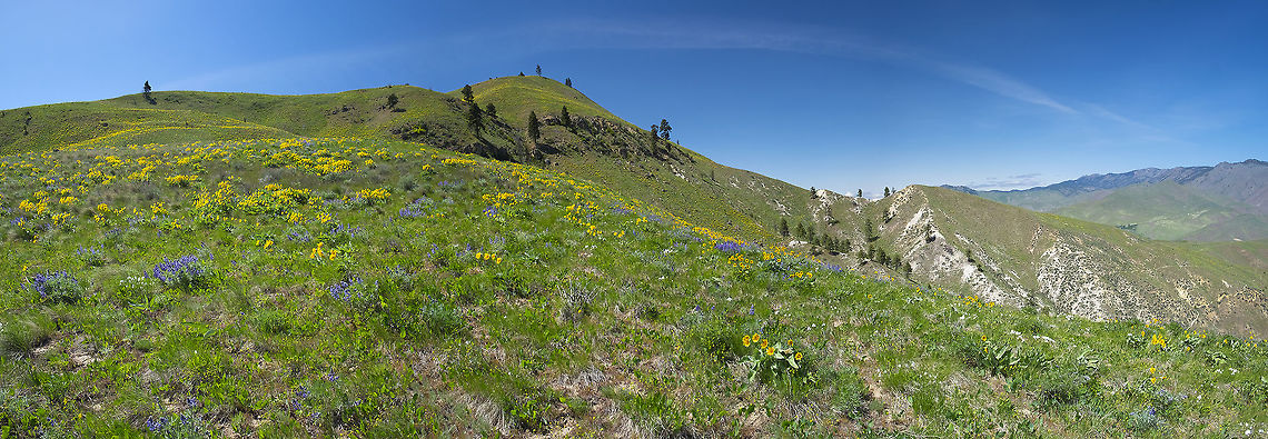 Sage Hills long panorama  Geotagged,Spring,United States