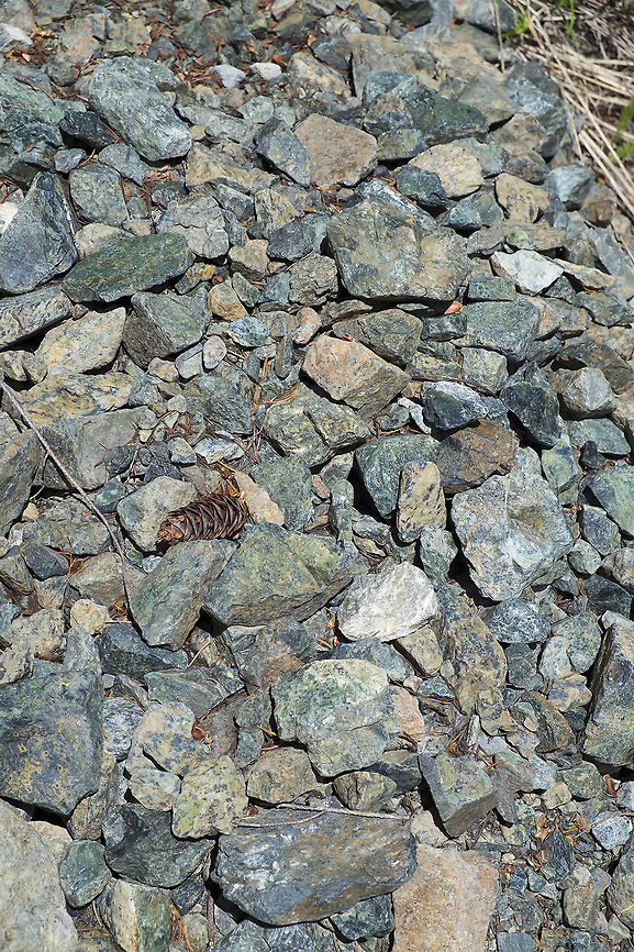 Serpentine rock If you read the descriptions of many of the plants I post from the middle part of Washington state, you'll probably have noticed that the terms 'serpentine' and 'endemic' come up quite often. This middle part of the state is a bit of a geological mystery - the rocks and mountains here are old, very old and quite different from the surrounding Cascade mountain range. Because of this isolation, it's position in the rain shadow and the characteristics of serpentine soil - it tends to be shallow, poor in plant nutrients and high in heavy metals, there are many plants that are highly specialized for life in this harsh place, that are not found anywhere else in the world, sometimes not even on neighboring peaks! It also means that there are amazing peaks of nearly bare rock that actually is green. When the light hits them right, it's like looking at a giant gemstone. <br />
Geological theory about how this area came to be:<br />
<section class="video"><iframe width="448" height="282" src="https://www.youtube-nocookie.com/embed/UREPCGpmTHU?hd=1&autoplay=0&rel=0" frameborder="0" allowfullscreen></iframe></section> Geotagged,Spring,United States