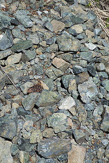 Serpentine rock If you read the descriptions of many of the plants I post from the middle part of Washington state, you'll probably have noticed that the terms 'serpentine' and 'endemic' come up quite often. This middle part of the state is a bit of a geological mystery - the rocks and mountains here are old, very old and quite different from the surrounding Cascade mountain range. Because of this isolation, it's position in the rain shadow and the characteristics of serpentine soil - it tends to be shallow, poor in plant nutrients and high in heavy metals, there are many plants that are highly specialized for life in this harsh place, that are not found anywhere else in the world, sometimes not even on neighboring peaks! It also means that there are amazing peaks of nearly bare rock that actually is green. When the light hits them right, it's like looking at a giant gemstone. 
Geological theory about how this area came to be:
https://www.youtube.com/watch?v=UREPCGpmTHU Geotagged,Spring,United States