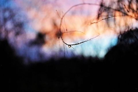 Ephemeral Sunset Brilliant colors are cast upon the world as the sun makes its slow descent. Grass,Sunset,beautiful,colorful,nature