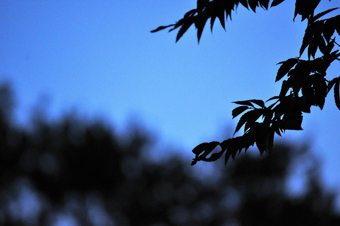 A Tinge of Azure