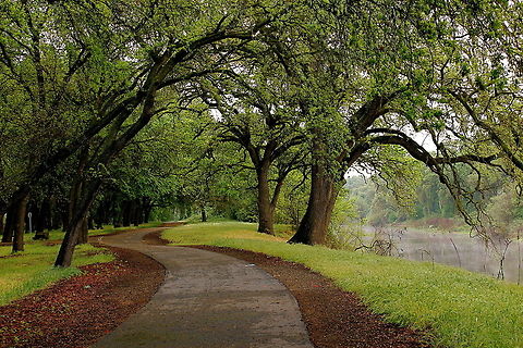 Come back to me I took the picture on a cloudy early morning in the spring. There was some fog which can be seen in the river. I also did some editing on the computer to get this cool effect.