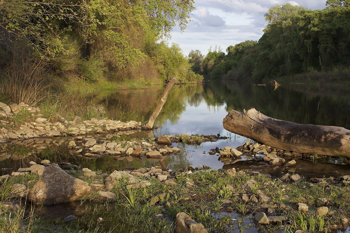 Enlightening Afternoon I try to get as much as I could get of the scenario. My main focus was of the log. Personally it added something more to the photo. I took it about thirty minutes before sunset.  River