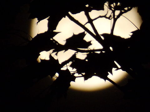 The Honeymoon, June 13, 2014  Geotagged,Moon,United States