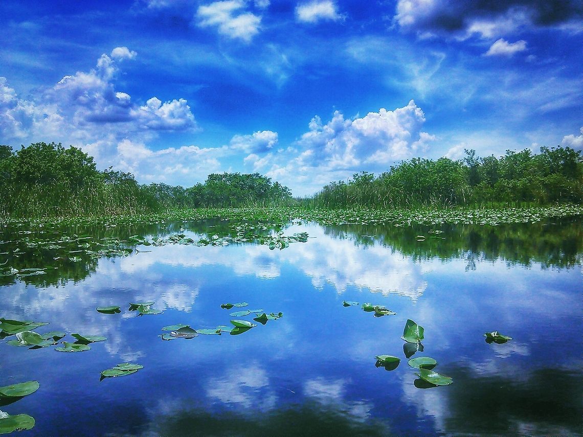 Florida Everglades Florida Everglades  Geotagged,United States
