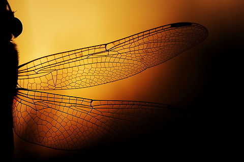 0,5 I take this photo before sunset at my favorite spot. I was starting to capture shot per shot to choose
which one of those shots can be the best one. And I got it