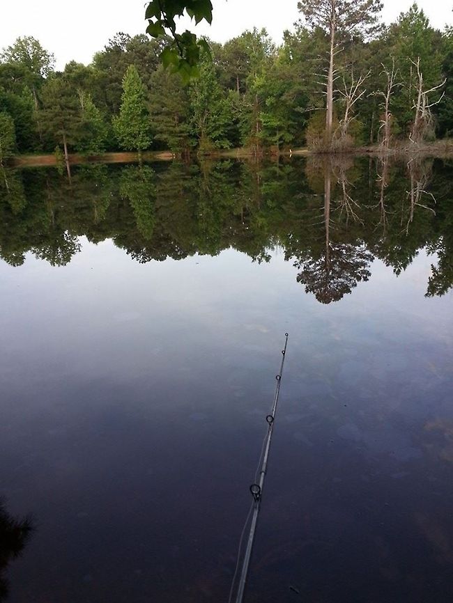 10351976_10202472569789603_5050816753488411709_n  Reflection