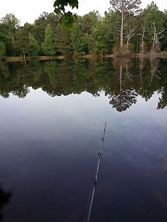 10351976_10202472569789603_5050816753488411709_n  Reflection