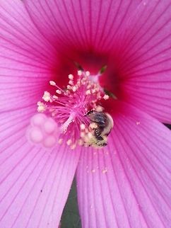 10427239_10202632692912581_3294684146060280365_n