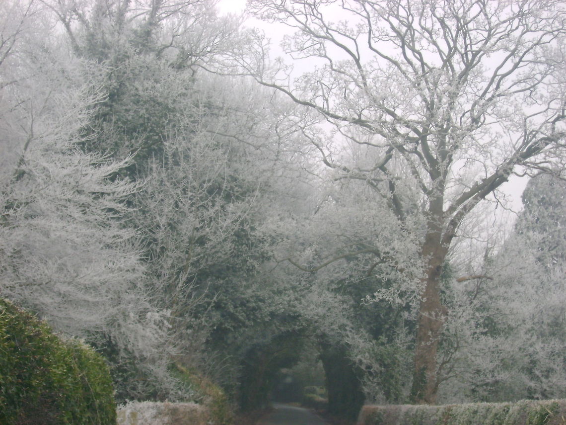 cold and frosty morning this photograph was taken on Christmas morning 2010  winter