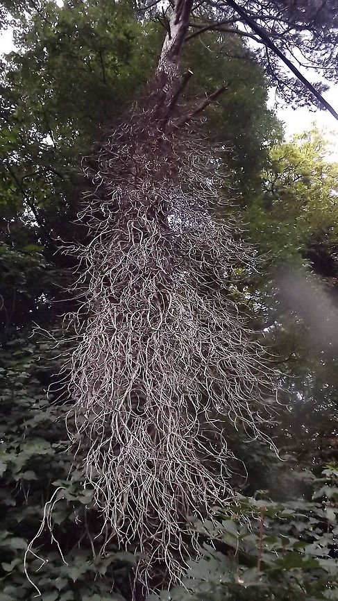 TWIGGY  Geotagged,United Kingdom