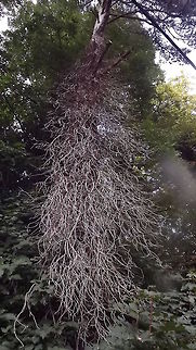 TWIGGY  Geotagged,United Kingdom