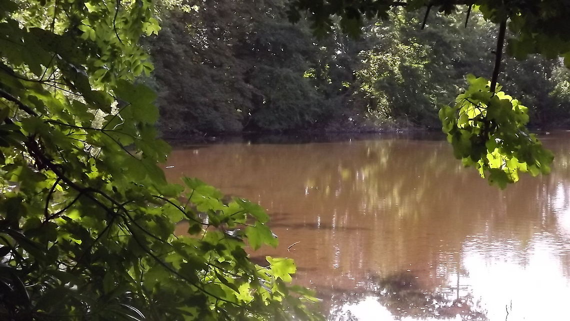 DARLAND POND