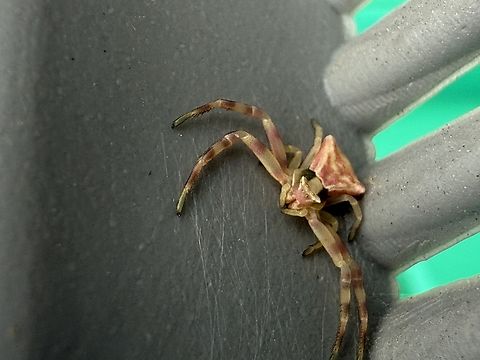 IMG_7054  Fall,Geotagged,Romania