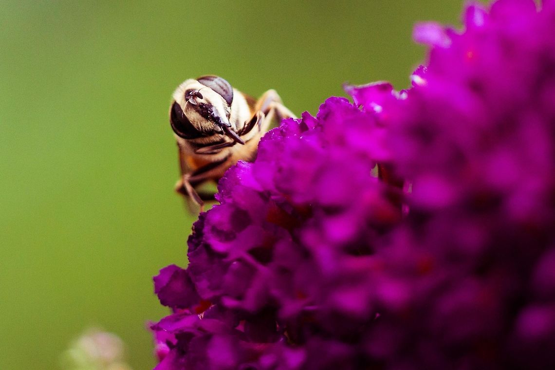 IMG_7166  Geotagged,India