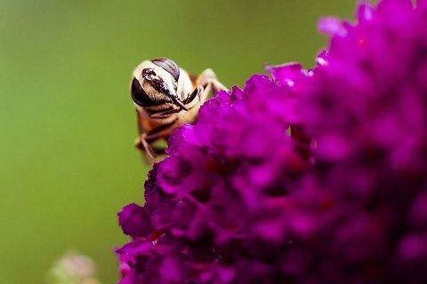 IMG_7166  Geotagged,India