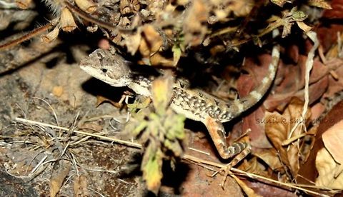 10444788_10203127389123788_8543724941082561701_n  Geotagged,Russia