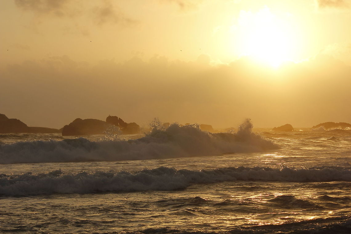 _MG_5778  Geotagged,Sri Lanka