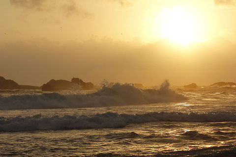 _MG_5778  Geotagged,Sri Lanka